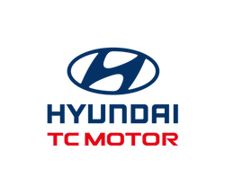 Platinum Partner logo