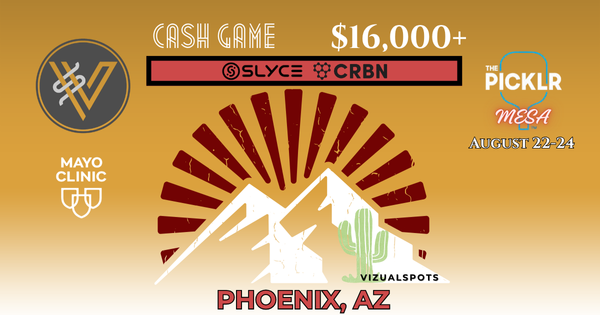 VIZUALSPOTS CASH GAME $16,000+ Prize Pool in Mesa @PICKLR Indoor Money Ball logo