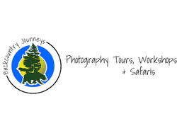 Backcountry Journeys Photography Tours logo