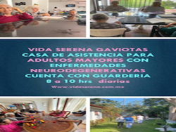 Vida Serena logo