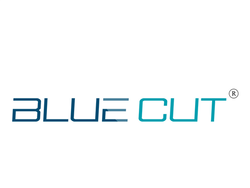 Blue Cut - Pro Design Glasses logo