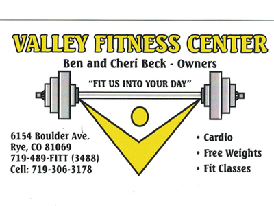 Valley Fitness logo