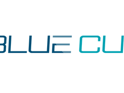 Blue Cut Glasses logo
