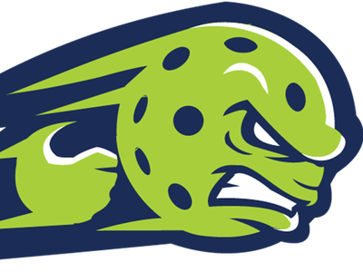 PickleRage - Glen Burnie logo