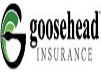 Goosehead Issurance logo