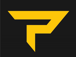 Paddletek logo