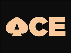 Pickleball Paddle Company logo