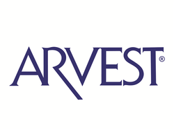 Banking Industry logo