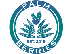 Palm Berries logo