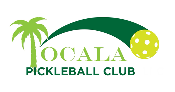 2025 Big Sun Pickleball Tournament logo