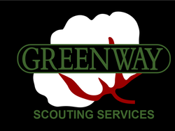 Greenway Scouting Services logo