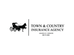 Town & Country Insurance Agency logo