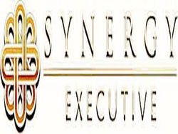 Synergy Executive logo