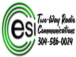 ESI logo