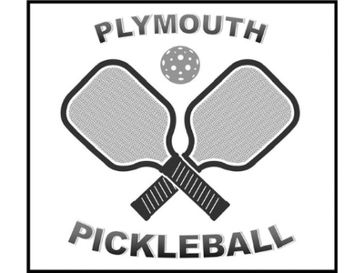 Blueberry Paddle Battle 4 logo