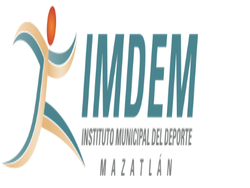 IMDEM logo