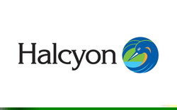 Halcyon logo