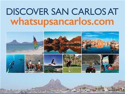What's Up San Carlos logo