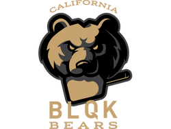 CALIFORNIA BLQK BEARS logo